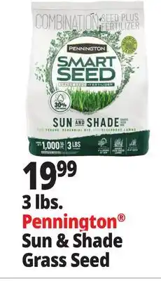 Ocean State Job Lot Pennington Smart Seed Sun & Shade Grass Seed 3 lbs offer