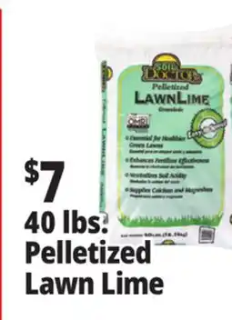 Ocean State Job Lot Pelletized Lawn Lime offer