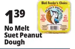 Ocean State Job Lot Bird Feeder's Choice Peanut Dough No Melt Suet 11 oz offer
