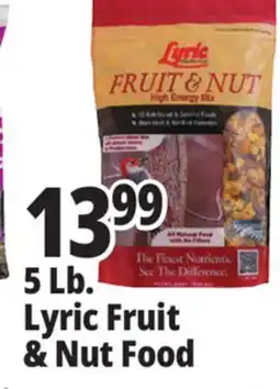 Ocean State Job Lot Lyric Fruit and Nut High Energy Wild Bird Food Mix 5 lbs offer