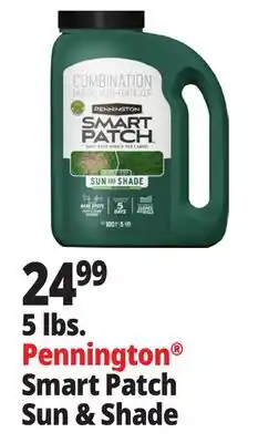 Ocean State Job Lot Pennington Smart Patch Grass Seed Fertilizer Mulch 5 lbs offer