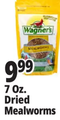 Ocean State Job Lot Wagner's Bird Meal Worms 7oz offer