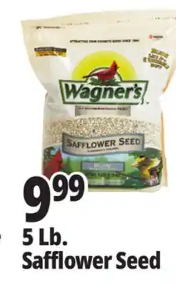 Ocean State Job Lot Wagner's Safflower Seed Deluxe Wild Bird Food offer
