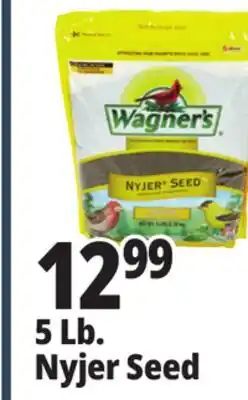 Ocean State Job Lot Wagner's Premium Nyjer Seed 5 lbs offer