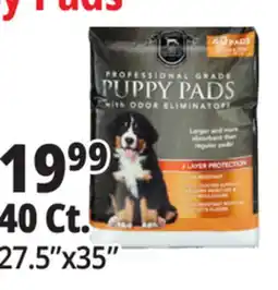 Ocean State Job Lot Huntington Pet Products Professional Grade 27.5 x 35 Puppy Pads with Odor Eliminators 40 Count offer