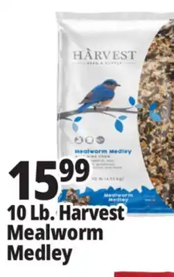 Ocean State Job Lot Harvest Seed & Supply Mealworm Medley Wild Bird Food 10 lb offer