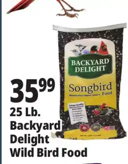 Ocean State Job Lot Backyard Delight Songbird Food 25 lbs offer