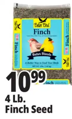 Ocean State Job Lot Better Bird Finch Bird Food 4 lbs offer