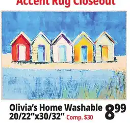 Ocean State Job Lot Olivia's Home Washable 20/22x30/32 offer