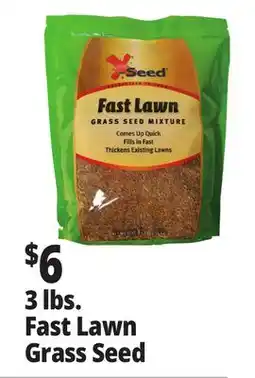 Ocean State Job Lot 3 lbs. Fast Lawn Grass Seed offer