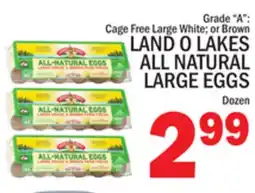 C Town LAND O LAKES ALL NATURAL LARGE EGGS offer