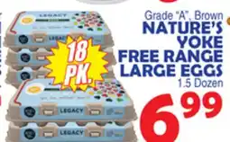 Bravo Supermarkets NATURE'S YOKE FREE RANGE LARGE EGGS offer