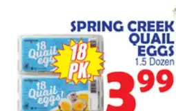 Bravo Supermarkets SPRING CREEK QUAIL EGGS offer