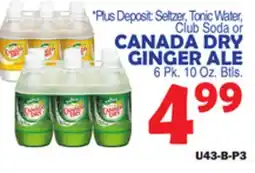 Bravo Supermarkets CANADA DRY GINGER ALE offer