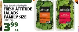 Bravo Supermarkets FRESH ATTITUDE SALADS offer