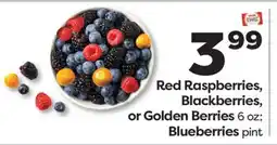 Weis Markets Red Raspberries, Blackberries, or Golden Berries 6 oz Blueberries pint offer