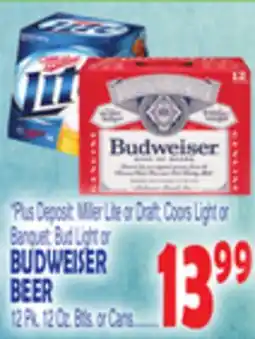 Bravo Supermarkets BUDWEISER BEER offer