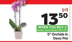 Weis Markets 5 Orchids in Deco Pot offer