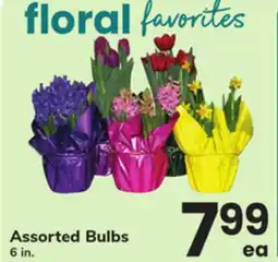 ACME Assorted Bulbs offer