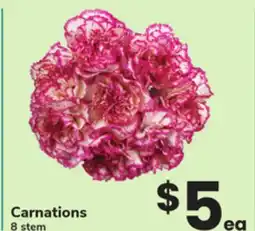 ACME Carnations offer