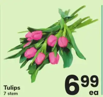 ACME Tulips offer