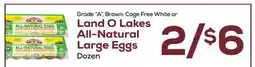 DeCicco & Sons Land O Lakes All-Natural Large Eggs offer