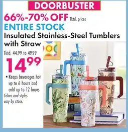 Boscov's Insulated Stainless-Steel Tumblers with Straw offer