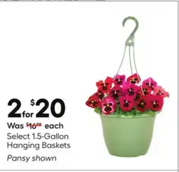 Lowe's Select 1.5-Gallon Hanging Baskets offer