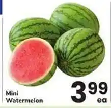 Safeway Mini Watermelon offer