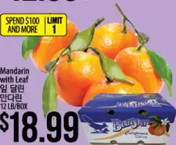 Hmart Mandarin with Leaf offer
