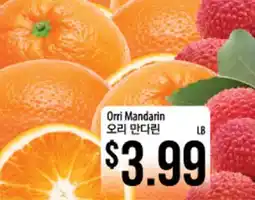 Hmart Orri Mandarin offer