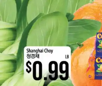Hmart Shanghai Choy offer