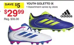 Dunham's Sports ADIDAS YOUTH GOLETTO IX offer