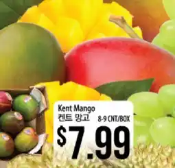 Hmart Kent Mango offer
