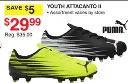 Dunham's Sports PUMA YOUTH ATTACANTO II offer
