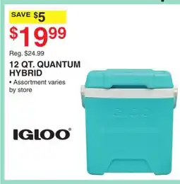 Dunham's Sports IGLOO 12 QT. QUANTUM HYBRID offer