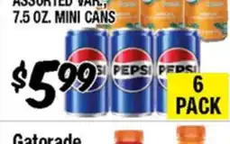 Western Beef PEPSI ASSORTED VAR., 7.5 OZ. MINI CANS offer