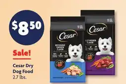 Family Dollar Cesar Dry Dog Food offer