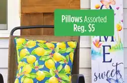 Dollar General Pillows offer