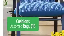 Dollar General Cushions offer