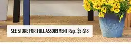 Dollar General SEE STORE FOR FULL ASSORTMENT offer