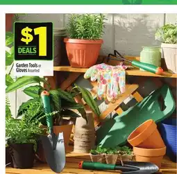 Dollar General Garden Tools or Gloves offer