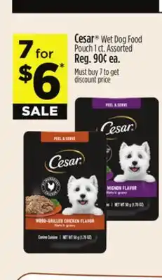 Dollar General Cesar Wet Dog Food offer