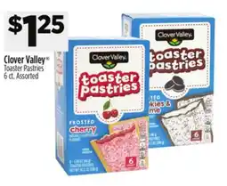 Dollar General Clover Valley Toaster Pastries offer