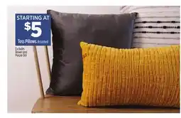 Dollar General Toss Pillows offer