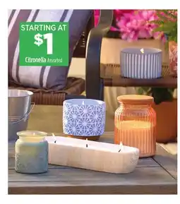 Dollar General Citronella offer