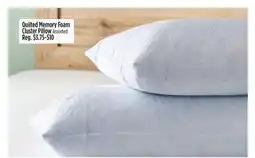 Dollar General Quilted Memory Foam Cluster Pillow offer