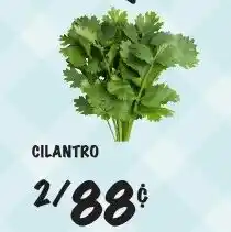 Foodarama Cilantro offer