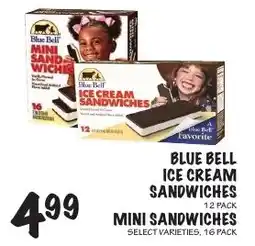Foodarama Blue bell ice cream sandwiches offer