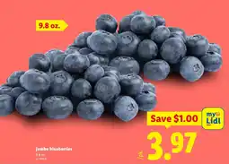 Lidl jumbo blueberries offer